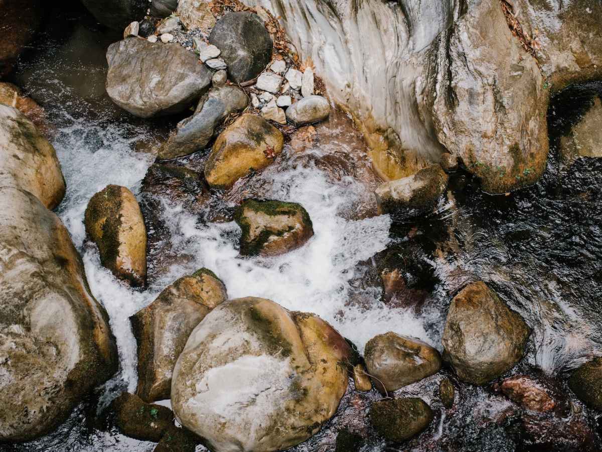 The Village and the&nbsp;Creek